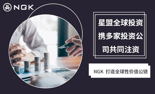 NGK公链技术 重塑房地产生态，赋能经济信息咨询